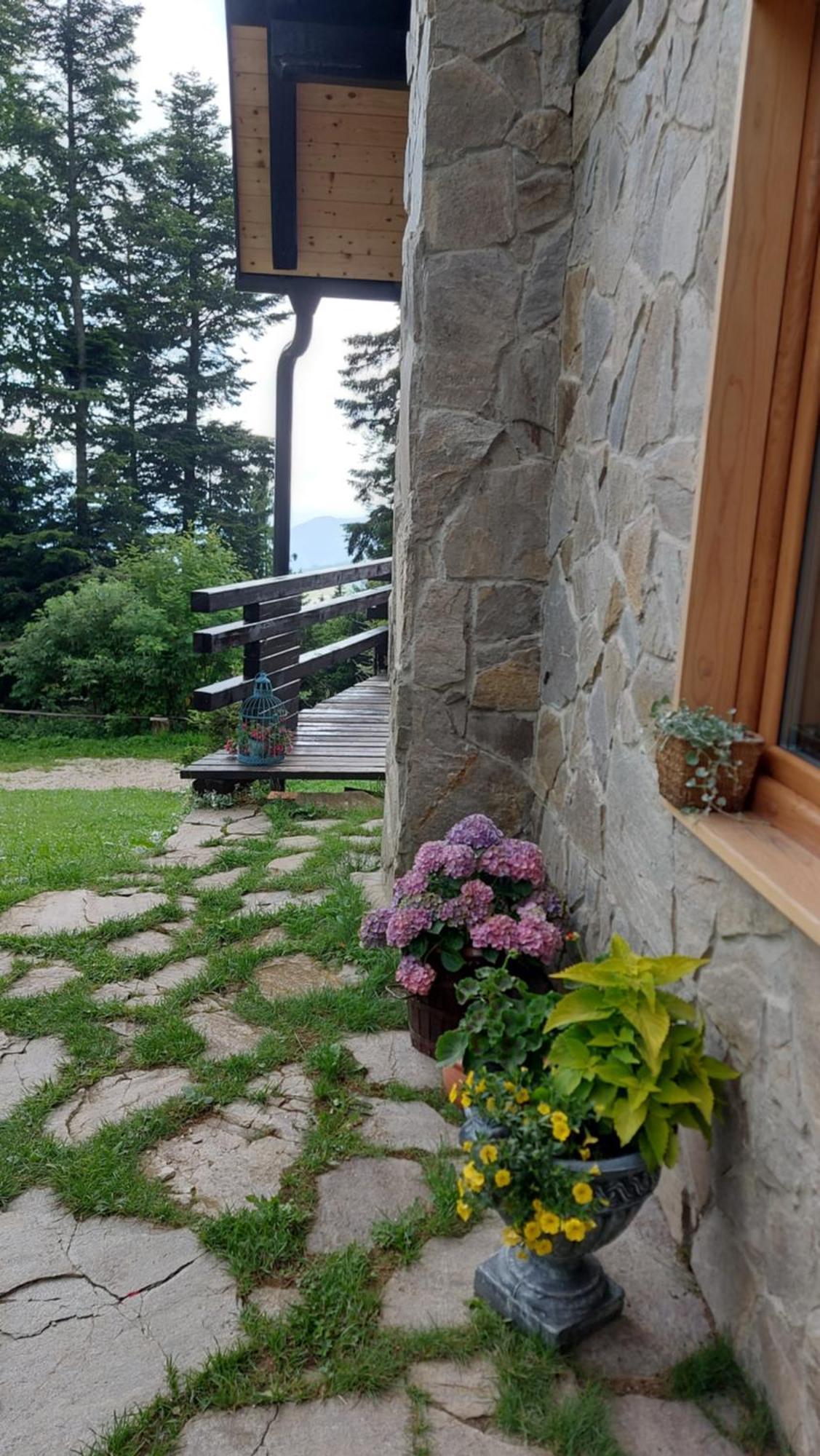 Rogla - Chalet Mojca Pokrajculja Zreče Екстериор снимка