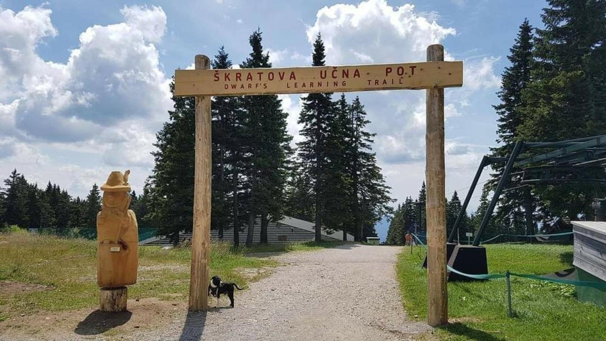 Rogla - Chalet Mojca Pokrajculja Zreče Екстериор снимка