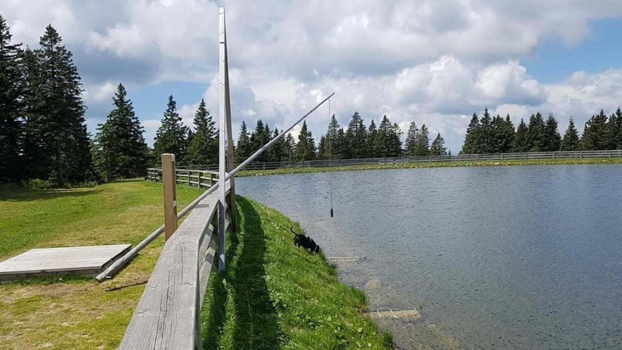 Rogla - Chalet Mojca Pokrajculja Zreče Екстериор снимка