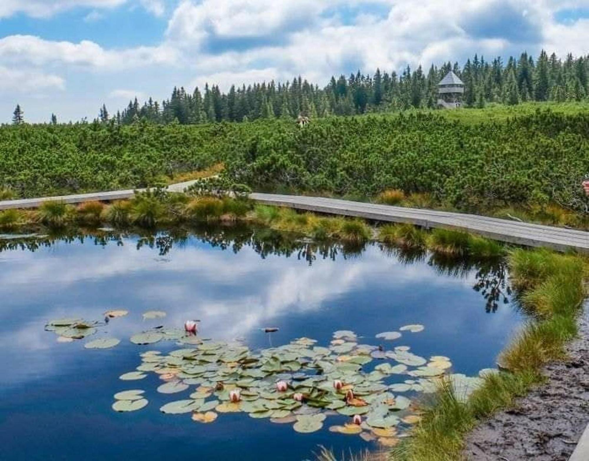 Rogla - Chalet Mojca Pokrajculja Zreče Екстериор снимка