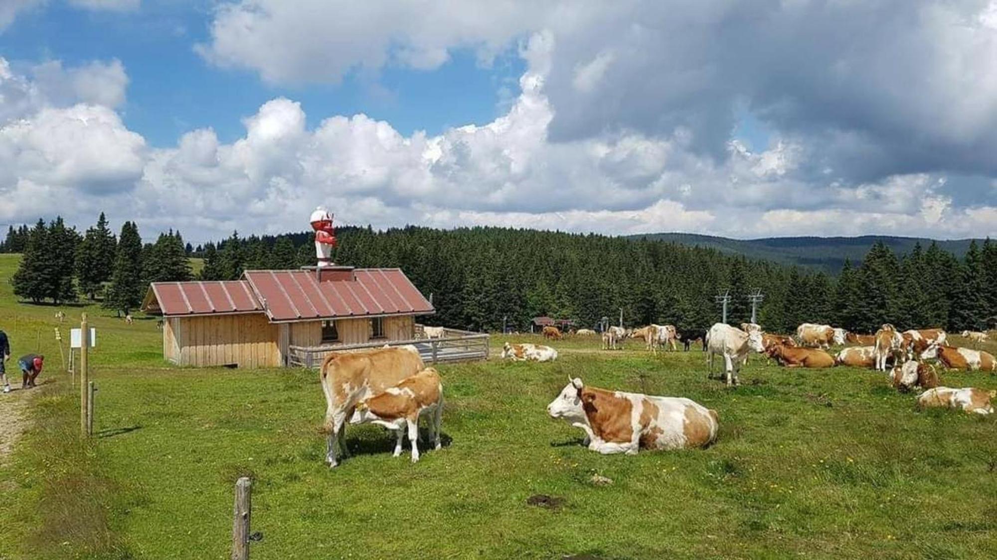 Rogla - Chalet Mojca Pokrajculja Zreče Екстериор снимка