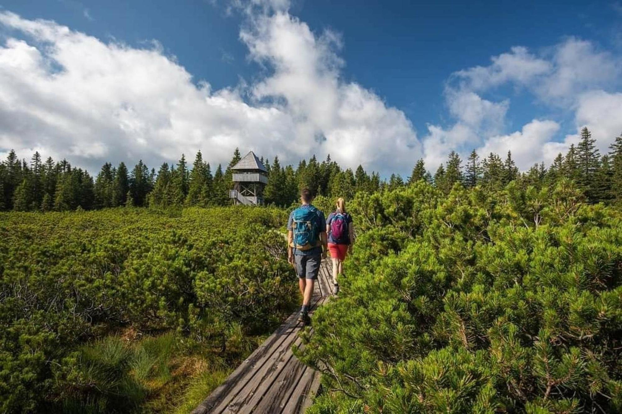 Rogla - Chalet Mojca Pokrajculja Zreče Екстериор снимка