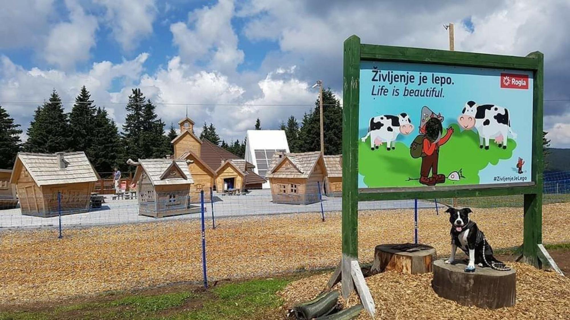 Rogla - Chalet Mojca Pokrajculja Zreče Екстериор снимка