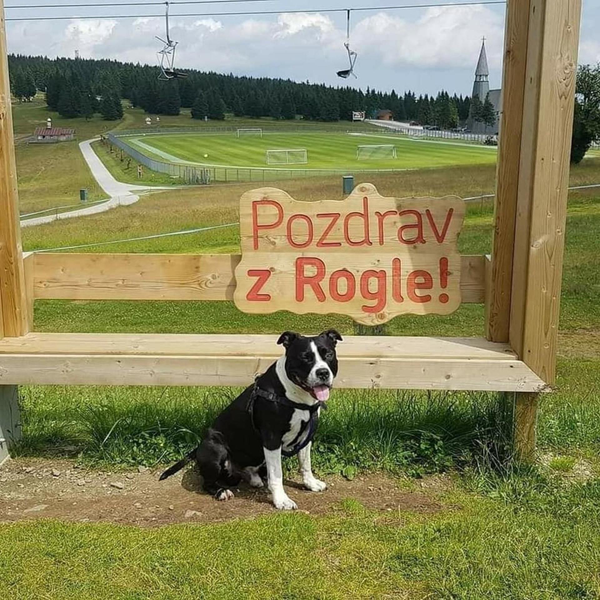 Rogla - Chalet Mojca Pokrajculja Zreče Екстериор снимка