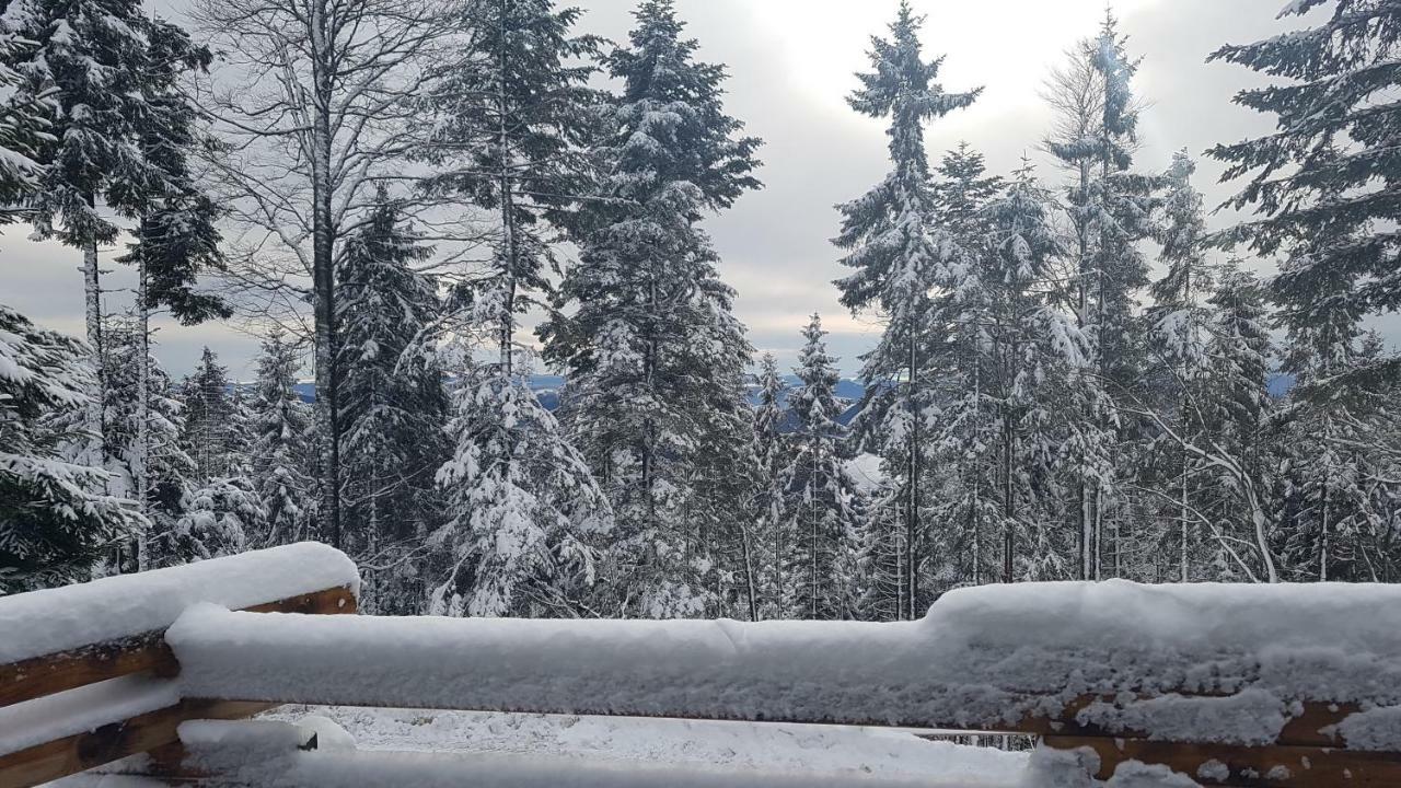 Rogla - Chalet Mojca Pokrajculja Zreče Екстериор снимка