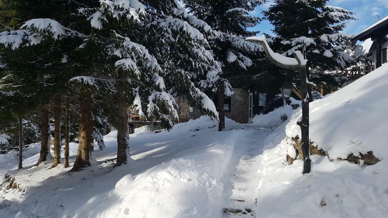 Rogla - Chalet Mojca Pokrajculja Zreče Екстериор снимка