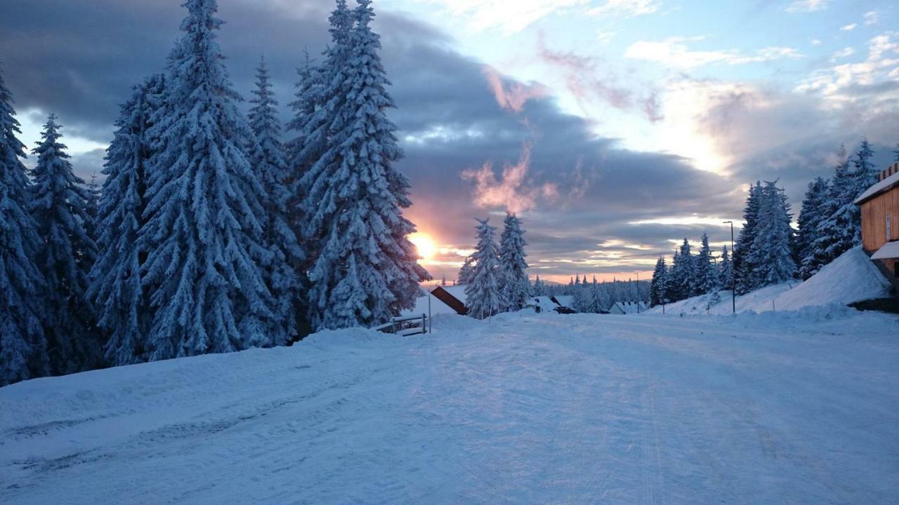 Rogla - Chalet Mojca Pokrajculja Zreče Екстериор снимка