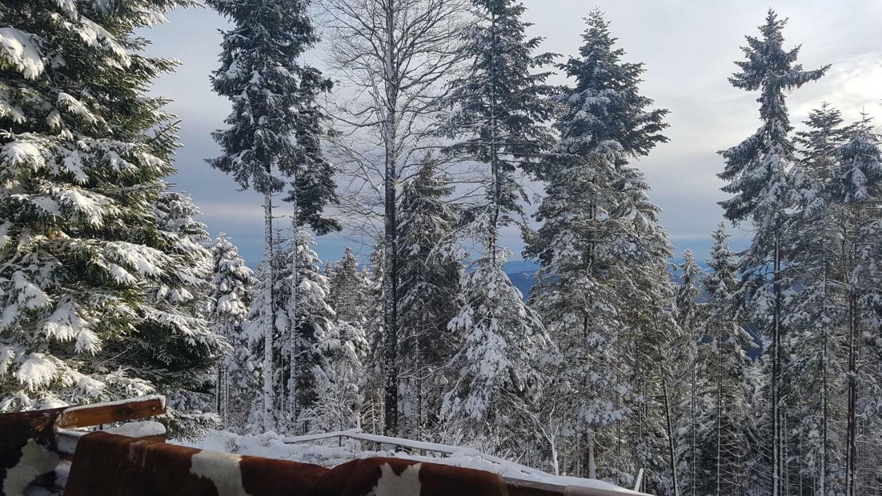 Rogla - Chalet Mojca Pokrajculja Zreče Екстериор снимка