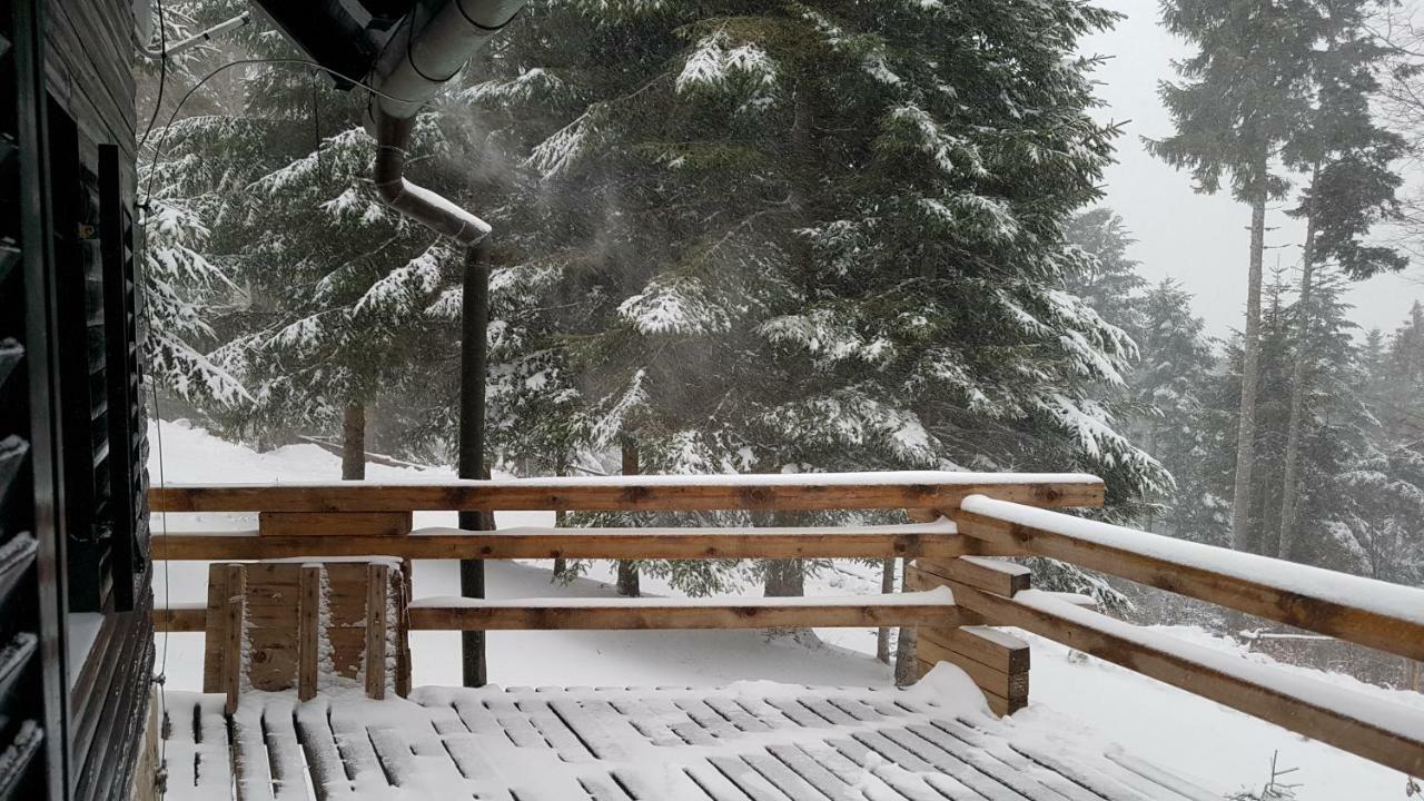Rogla - Chalet Mojca Pokrajculja Zreče Екстериор снимка