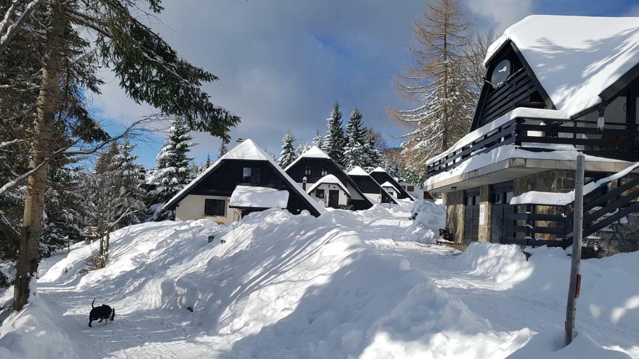 Rogla - Chalet Mojca Pokrajculja Zreče Екстериор снимка