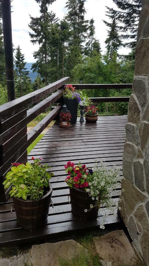 Rogla - Chalet Mojca Pokrajculja Zreče Екстериор снимка